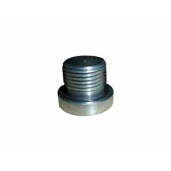 Allen plug. ZN124 B G1 "with seals